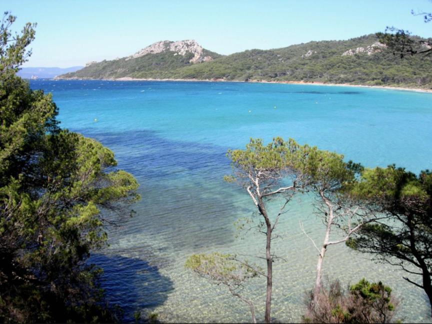 Superbe T2 Proche Des Plages Et Des Commerces Hyères Екстериор снимка